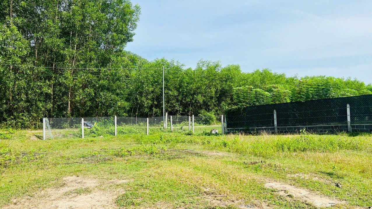 Bán đất vườn Diên Tân giáp suối nước chảy quanh năm sát bên hồ Cây Sung 6