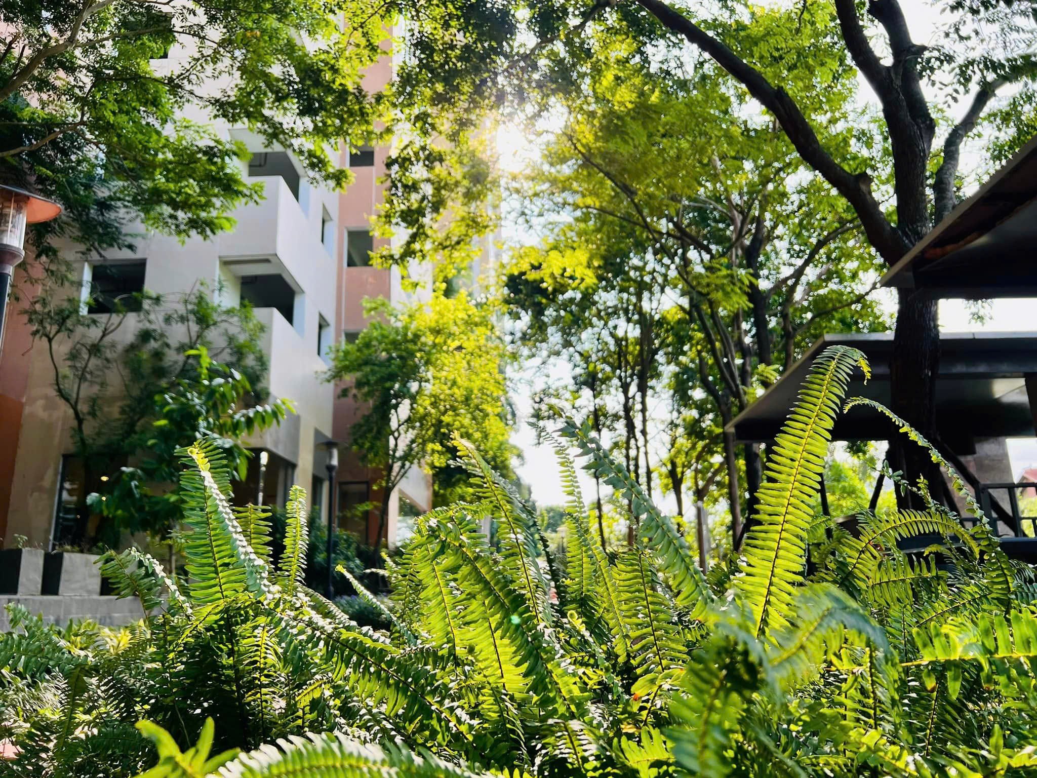 Bán căn 3 ngủ 137m2 Mulberry Lane - giá chỉ 8.4 tỷ - CÓ SLOT OTO 5