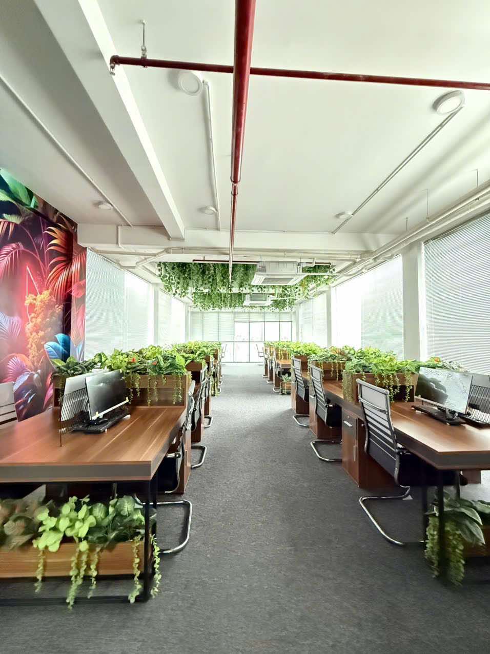 BUILDING 8 TẦNG THANG MÁY - 1130m2 SÀN MẶT TIỀN BÙI HỮU NGHĨA - DOANH THU 2.6 TỶ/NĂM 4