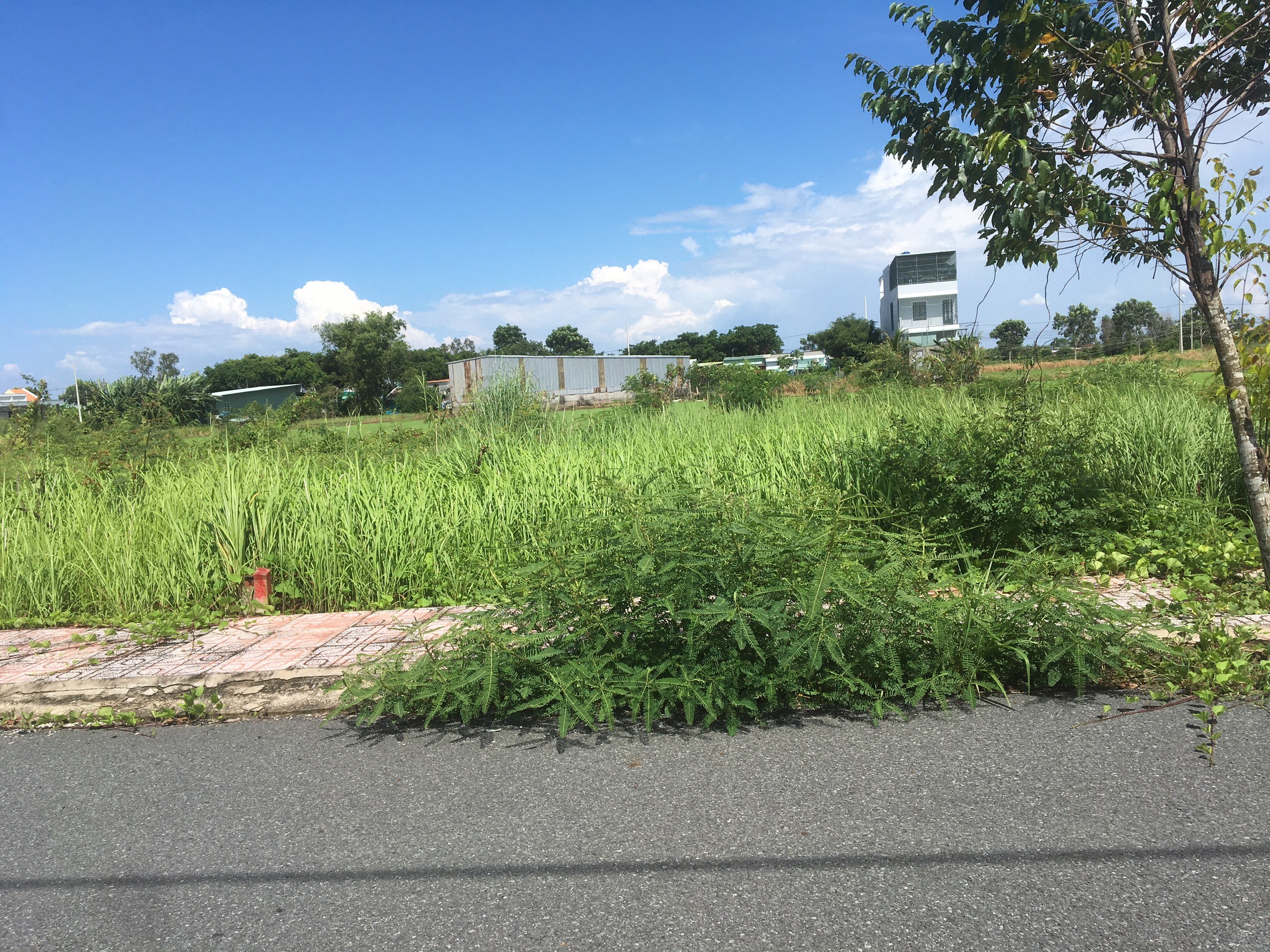 D9at61 nền kdc Nam Phong Ecotown 85m2 cần bán gấp giá rẻ 790tr TL Chủ 4