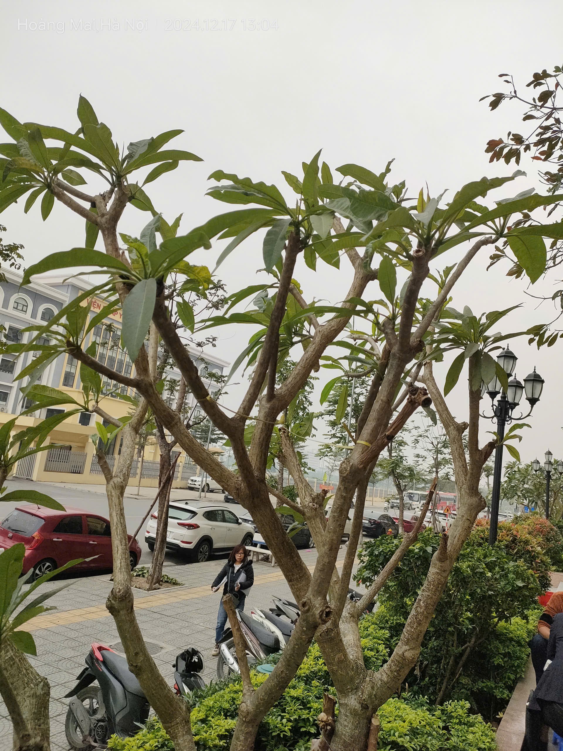 Cho thuê gấp lâu dài căn hộ 82m, tầng 23, 15tr/th Trần Thủ Độ, Hoàng Mai. 3