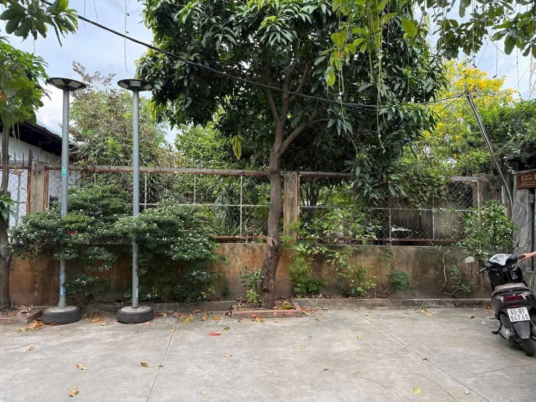 ĐẤT NÔNG NGHIỆP MT RẠCH – GẦN UBND THẠNH XUÂN – Q.12 GẦN 2.000M² – CHỈ 12,5 TỶ 3