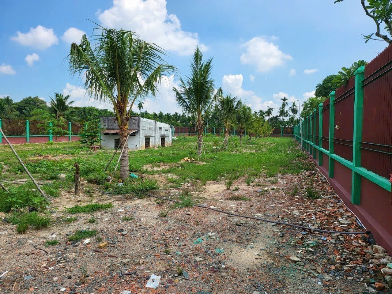 BÁN ĐẤT MẶT TIỀN SÔNG BÀ HỒNG – VIEW SIÊU ĐẸP – NHỊ BÌNH, HÓC MÔN 2