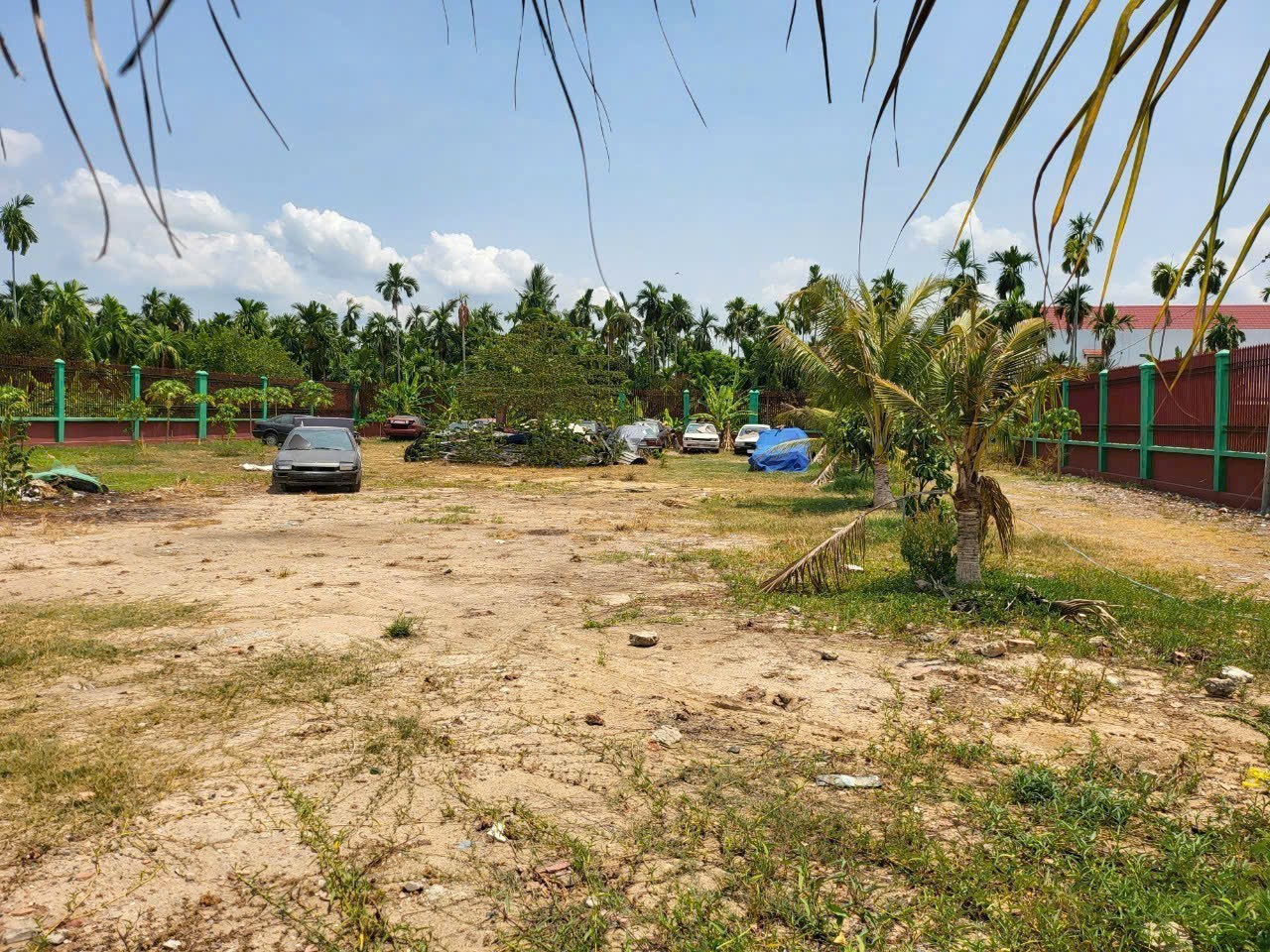 BÁN ĐẤT MẶT TIỀN SÔNG BÀ HỒNG – VIEW SIÊU ĐẸP – NHỊ BÌNH, HÓC MÔN 3