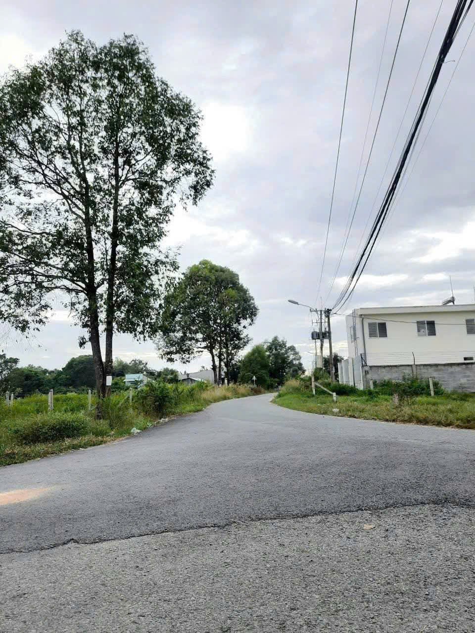 BÁN GẤP 1.949M², NỞ HẬU ĐẸP - ĐẤT MẶT TIỀN SÔNG LU – CỦ CHI 3