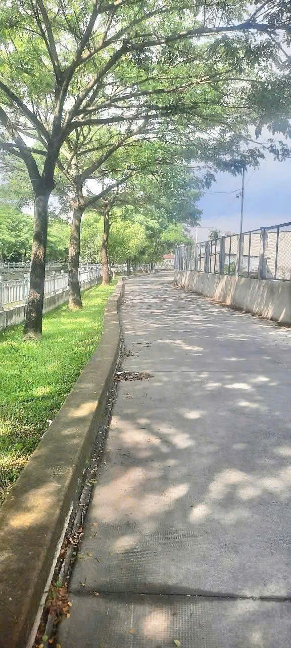 ĐẤT NÔNG NGHIỆP MT RẠCH – GẦN UBND THẠNH XUÂN – Q.12 GẦN 2.000M² – CHỈ 12,5 TỶ 2