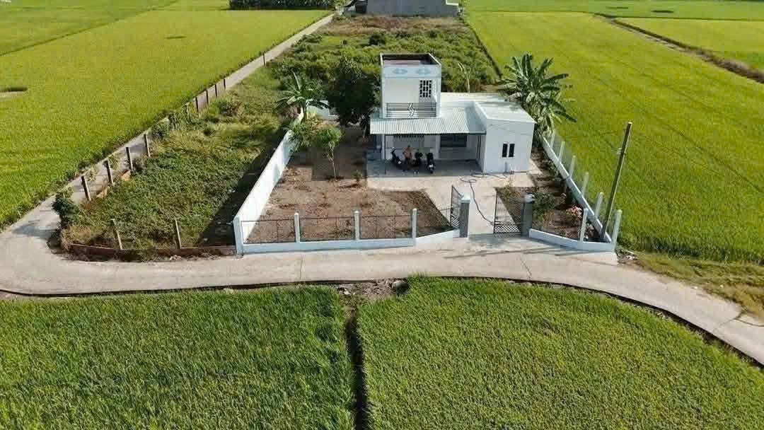 Nhà vườn hẻm Nguyễn Văn Thọ, xã Lạc Tấn, huyện Tân Trụ tổng dt 500m2 2pn 2wc giá 2 tỷ