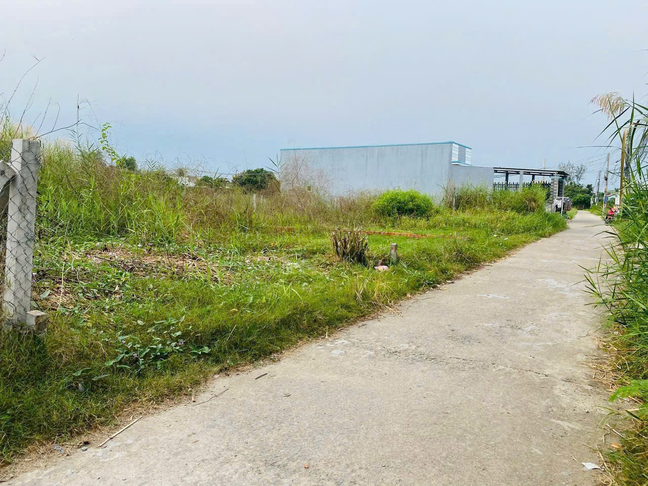 131m2 đất thổ cư đường Phạm Thị Cầm, xã Mỹ Lộc, Cần Giuộc ,Long An giá 1,15 tỷ