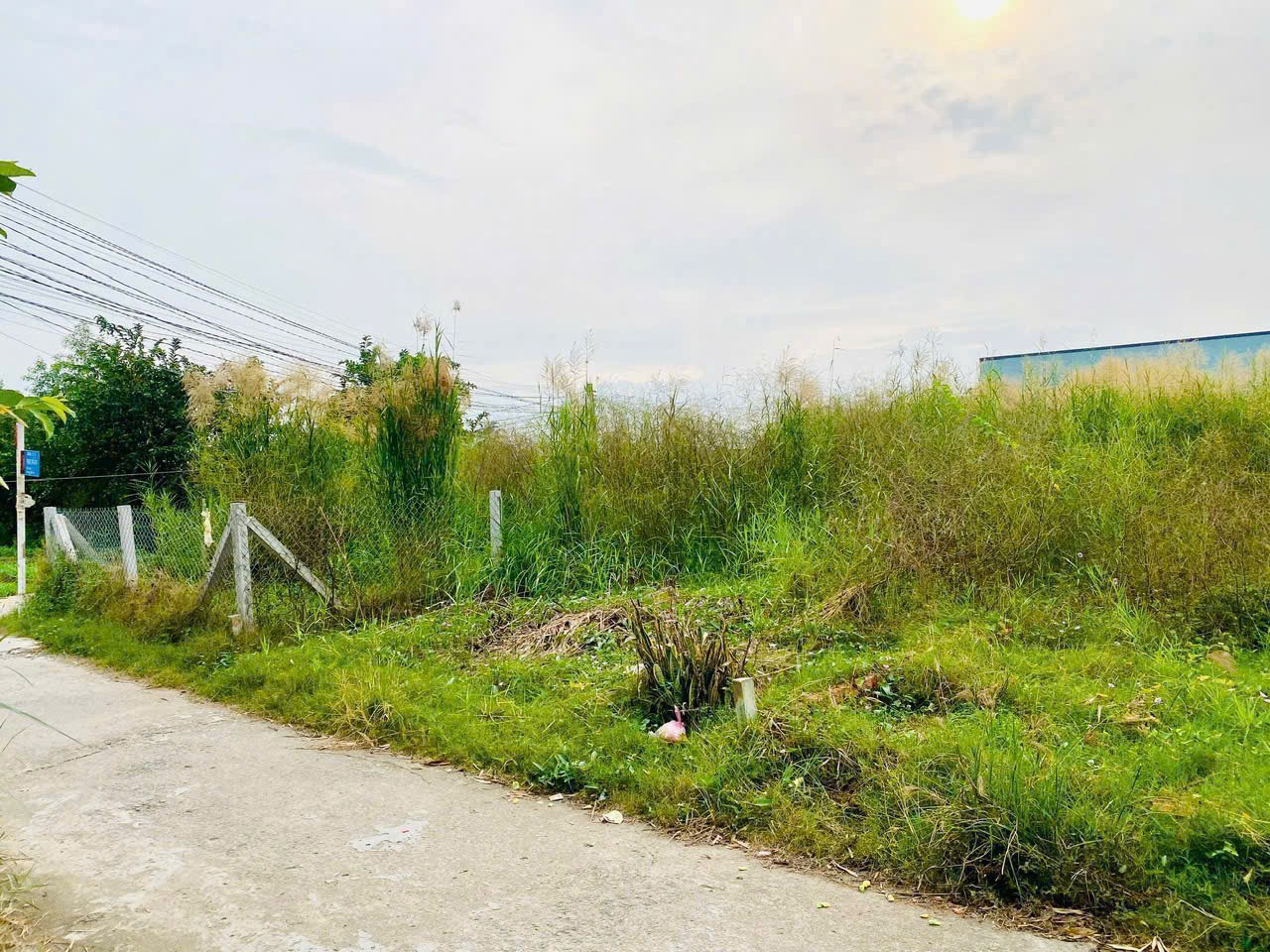 131m2 đất thổ cư đường Phạm Thị Cầm, xã Mỹ Lộc, Cần Giuộc ,Long An giá 1,15 tỷ 2