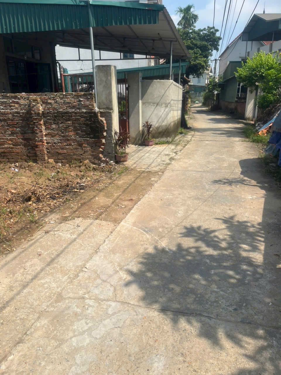 CẦN BÁN GẤP 95M – ĐẤT ĐẸP GIÁ RẺ TÍCH GIANG, PHÚC THỌ! 3