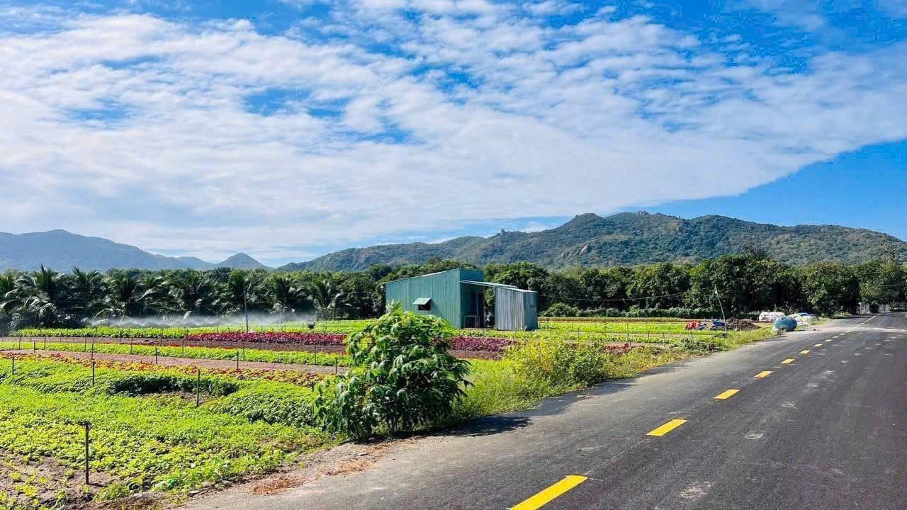 CHỦ ĐỊNH CƯ NƯỚC NGOÀI BÁN GẤP LÔ GÓC 4 TỶ VIEW NÚI MINH ĐẠM, TT PHƯỚC HẢI