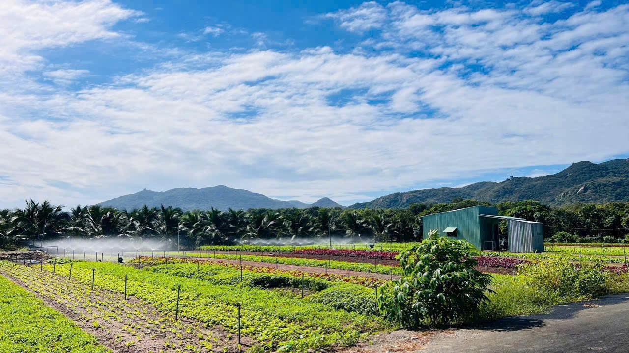 CHỦ ĐỊNH CƯ NƯỚC NGOÀI BÁN GẤP LÔ GÓC 4 TỶ VIEW NÚI MINH ĐẠM, TT PHƯỚC HẢI 3