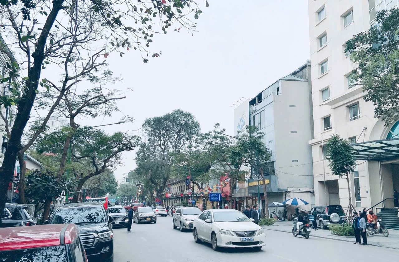 SIÊU PHẨM HÀNG  HIẾM PHỐ VIP MẶT PHỐ LÝ  THƯỜNG KIỆT CON PHỐ  CỦA DOANH NGHIỆP, VIỆT KIỀU, 2