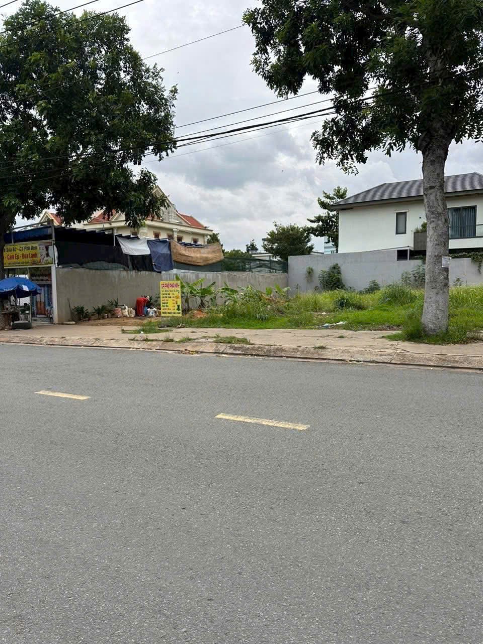 Cần bán Đất Dĩ An, Bình Dương, Diện tích 736m², Giá 12.9 Tỷ 2
