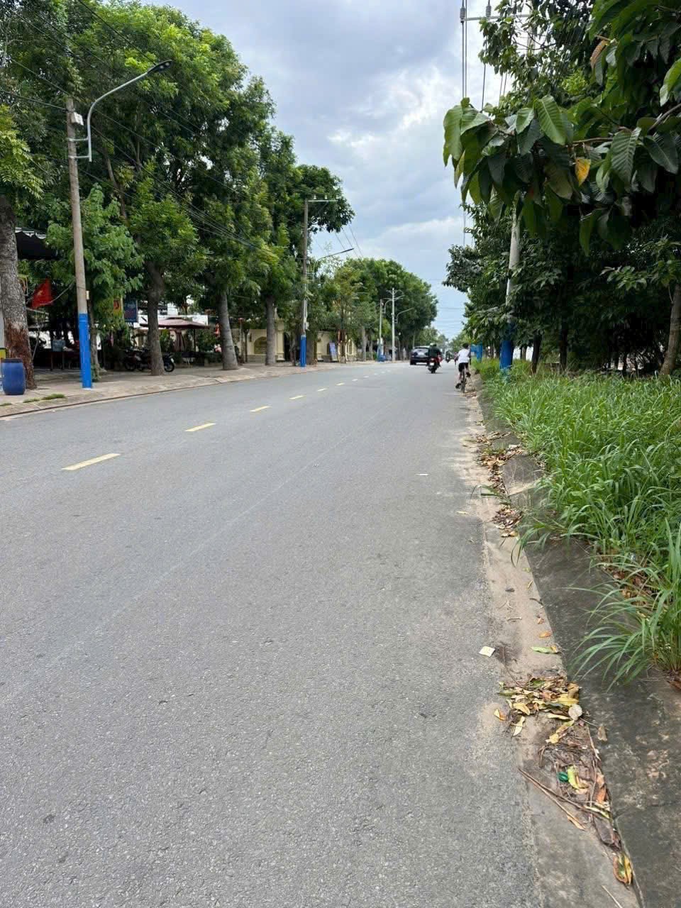 Cần bán Đất Dĩ An, Bình Dương, Diện tích 736m², Giá 12.9 Tỷ 3