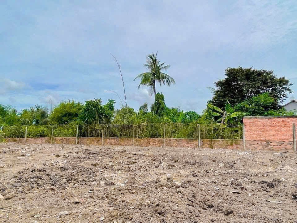 3400m2 đất vườn có sẵn 1800m2 thổ xã Nhựt Chánh, Bến Lức, Long An giá 4,85 tỷ 2