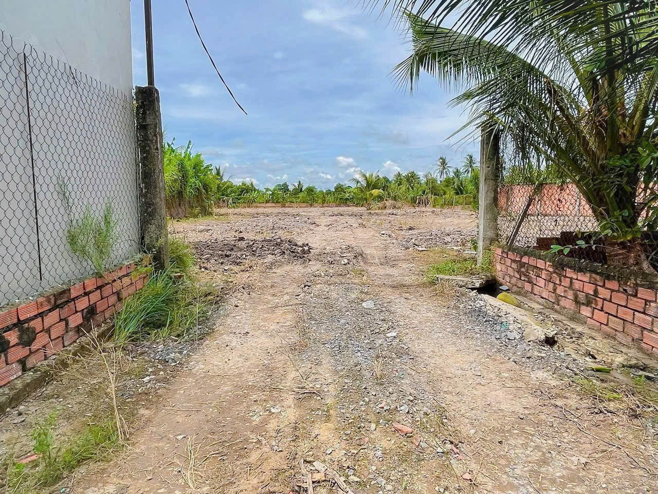3400m2 đất vườn có sẵn 1800m2 thổ xã Nhựt Chánh, Bến Lức, Long An giá 4,85 tỷ 3
