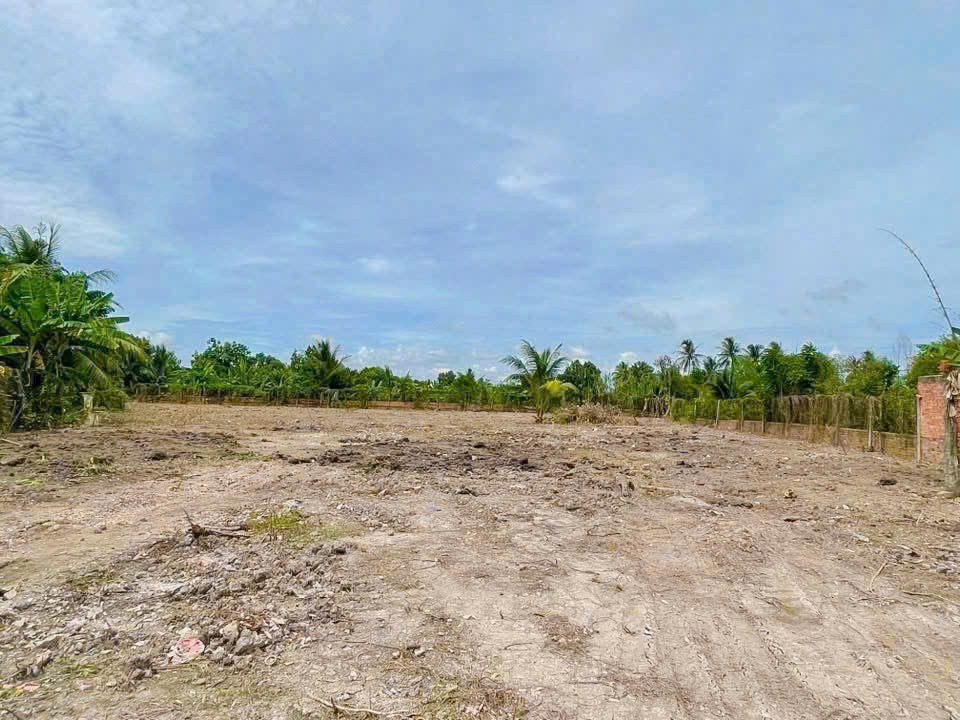 3400m2 đất vườn có sẵn 1800m2 thổ xã Nhựt Chánh, Bến Lức, Long An giá 4,85 tỷ 5