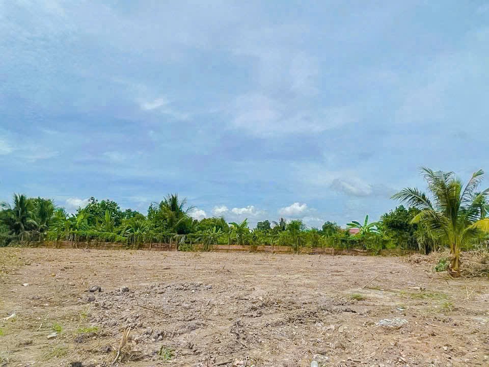 3400m2 đất vườn có sẵn 1800m2 thổ xã Nhựt Chánh, Bến Lức, Long An giá 4,85 tỷ 6