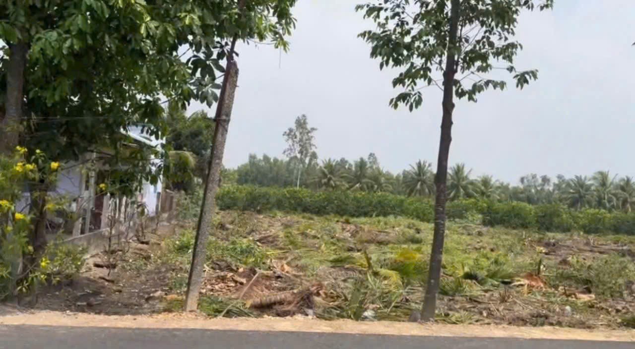 258m2 thổ cư mặt tiền đường ấp xã Lương Hòa, Bến Lức, Long An giá 2,5 tỷ / nền 4