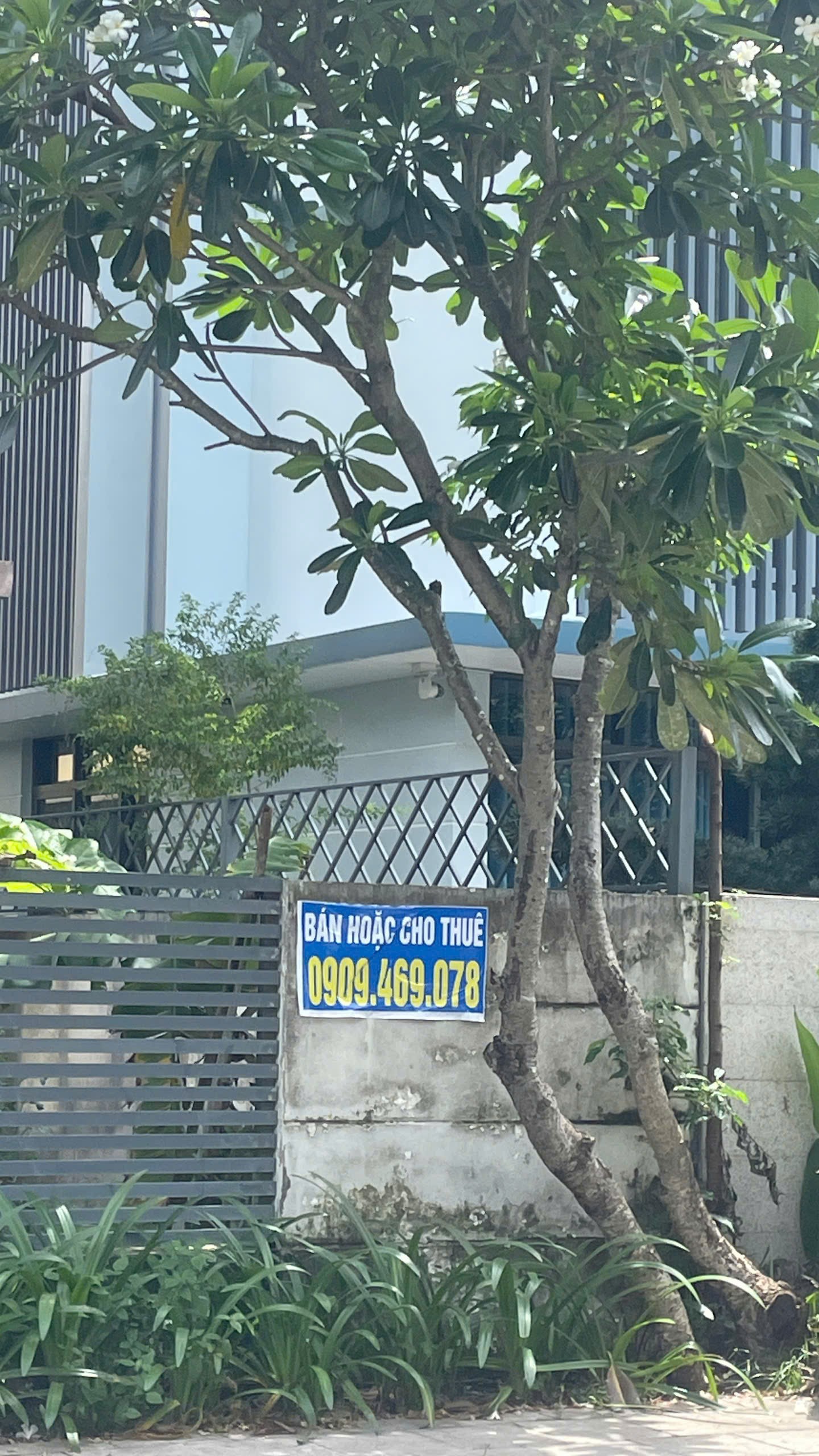 Cần bán Nhà ở, nhà cấp 4, nhà hẻm Phường Thạnh Mỹ Lợi, Quận 2, Diện tích 270m², Giá 120 Tỷ 4