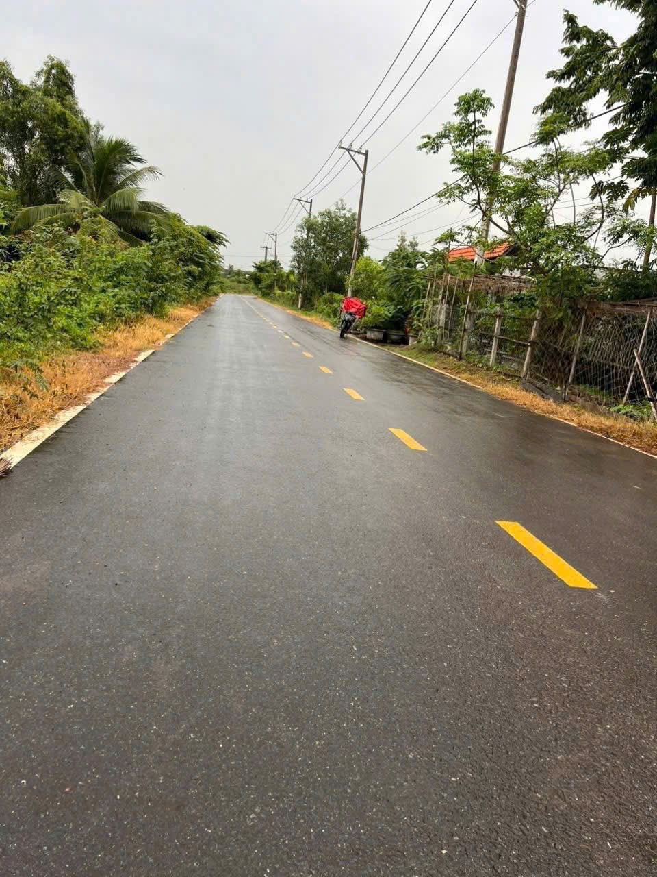 Cần bán Đất Phường Long Phước, Quận 9, Diện tích 2273m², Giá 024 Tỷ 3