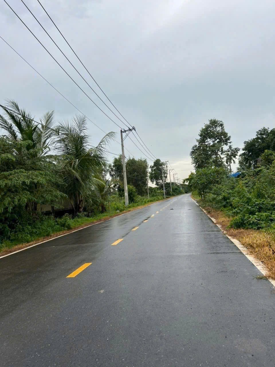 Cần bán Đất Phường Long Phước, Quận 9, Diện tích 2273m², Giá 024 Tỷ