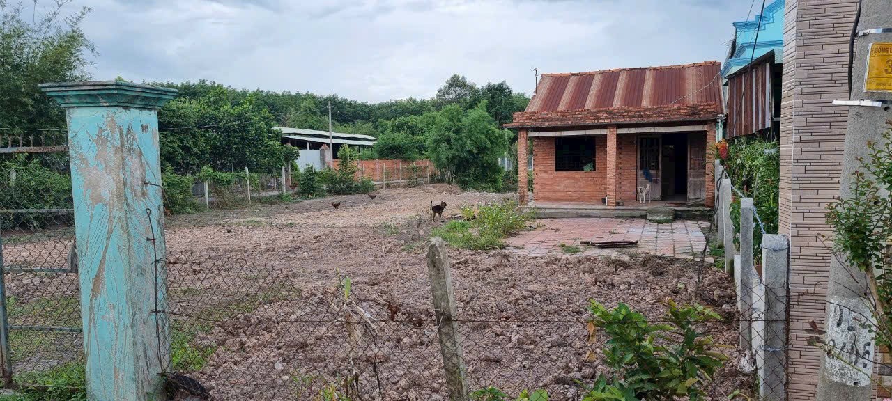 1000m2 ( có 241m2 thổ cư) góc 2 mặt tiền 1/ Trung Lập xã Trung Lập Thượng, Củ Chi giá 4 tỷ 3