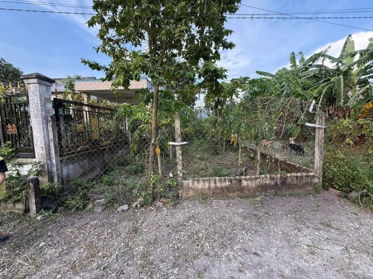145m2 đất thổ / Nguyễn Văn Khạ, xã Tân An Hội giá 1,7 tỷ
