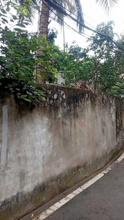 ĐẤT  Phố Trạm 195 M2 mặt tiền 24.2m X 31 tỷ Long Biên. PHÂN LÔ TÔ TÔ QUA - VÀO ĐẤT. 2