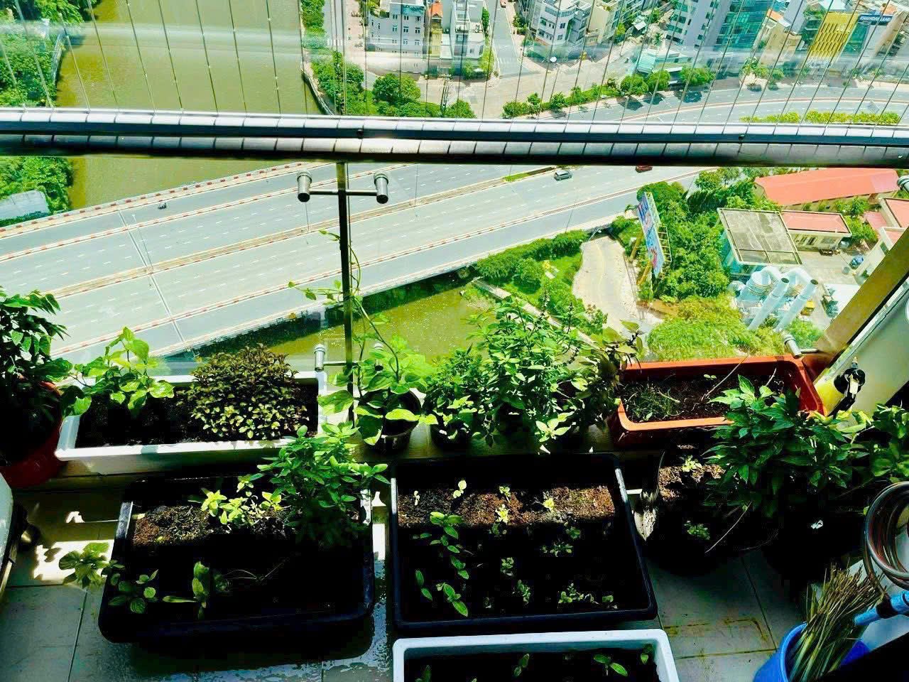 Cho thuê Căn hộ chung cư Quận 1, Hồ Chí Minh, Diện tích 110m², Giá Thương lượng 7