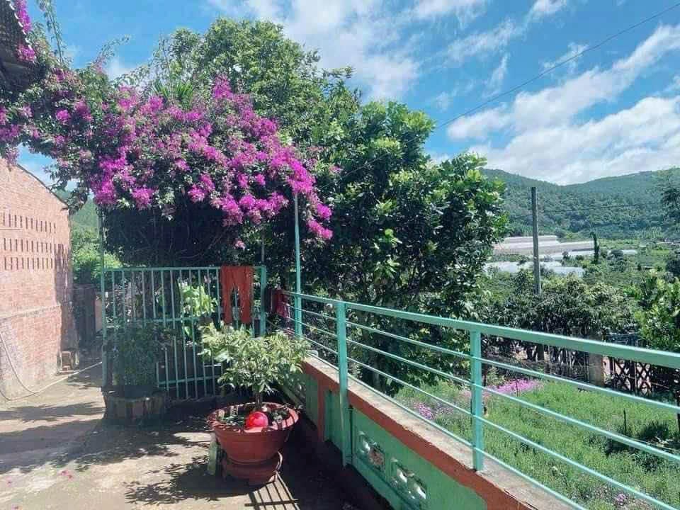 BÁN ĐẤT CAM LY ĐÀ LẠT - 8010M2, 338M2 THỔ CƯ, QUY HOẠCH FULL THỔ, GẦN CÁC ĐIỂM DU LỊCH 3