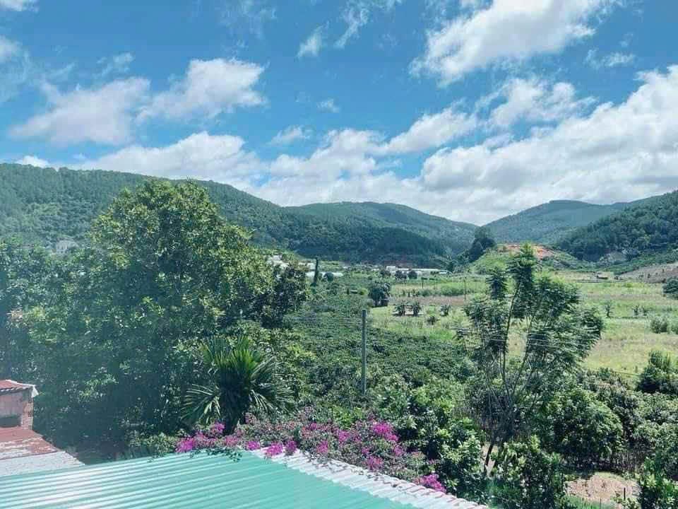 BÁN ĐẤT CAM LY ĐÀ LẠT - 8010M2, 338M2 THỔ CƯ, QUY HOẠCH FULL THỔ, GẦN CÁC ĐIỂM DU LỊCH 2