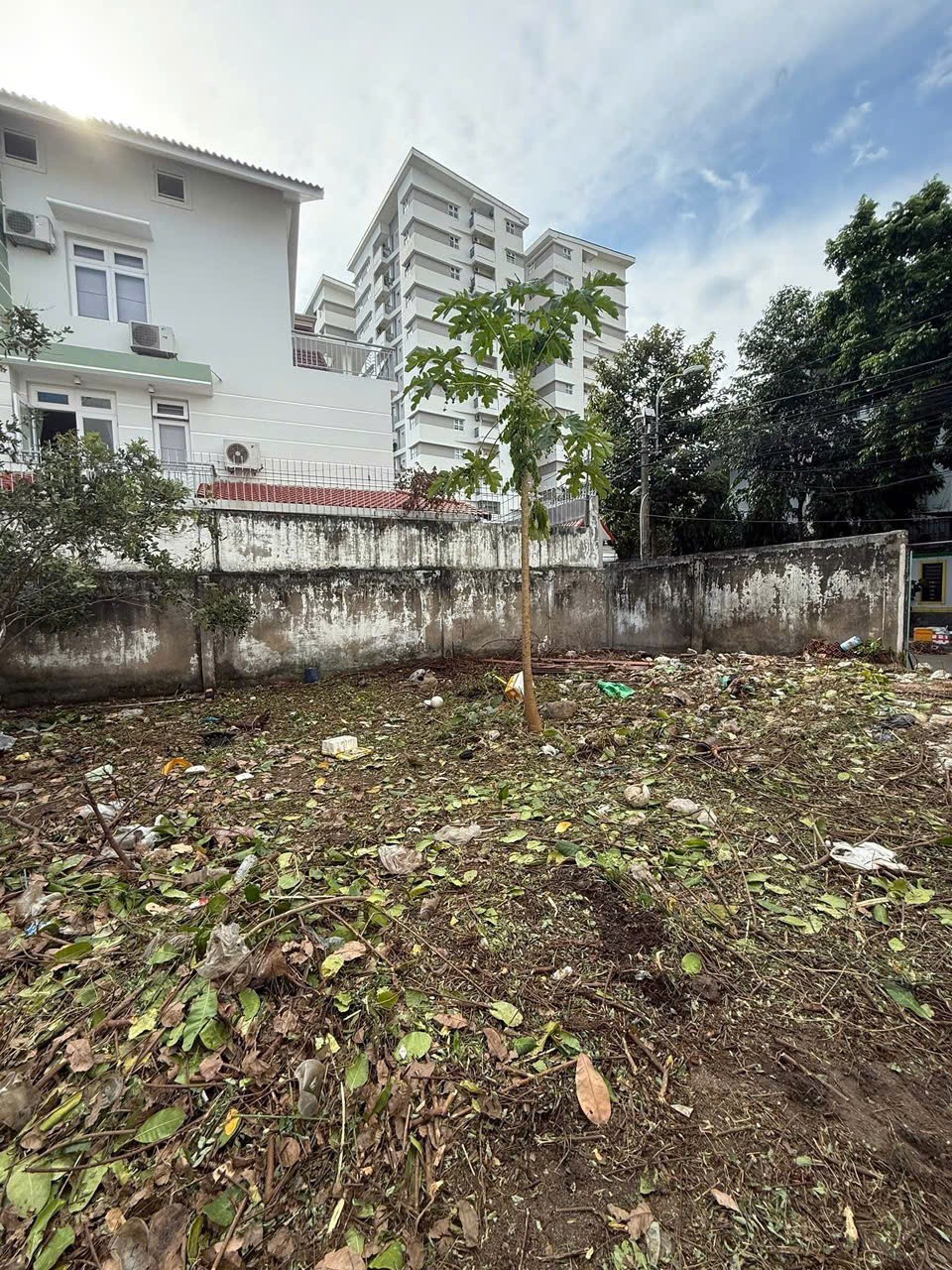 Cho thuê Đất Phường An Phú, Quận 2, Diện tích 260m², Giá 020 Triệu/tháng 5