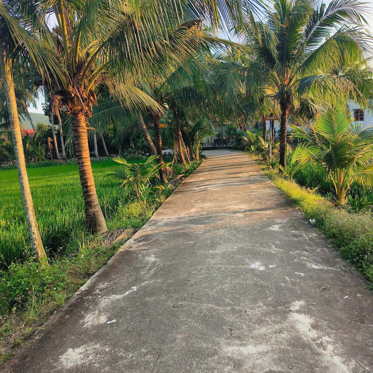 CL-BÁN LÔ ĐẤT DIÊN TOÀN (cũ), DIÊN KHÁNH. 2