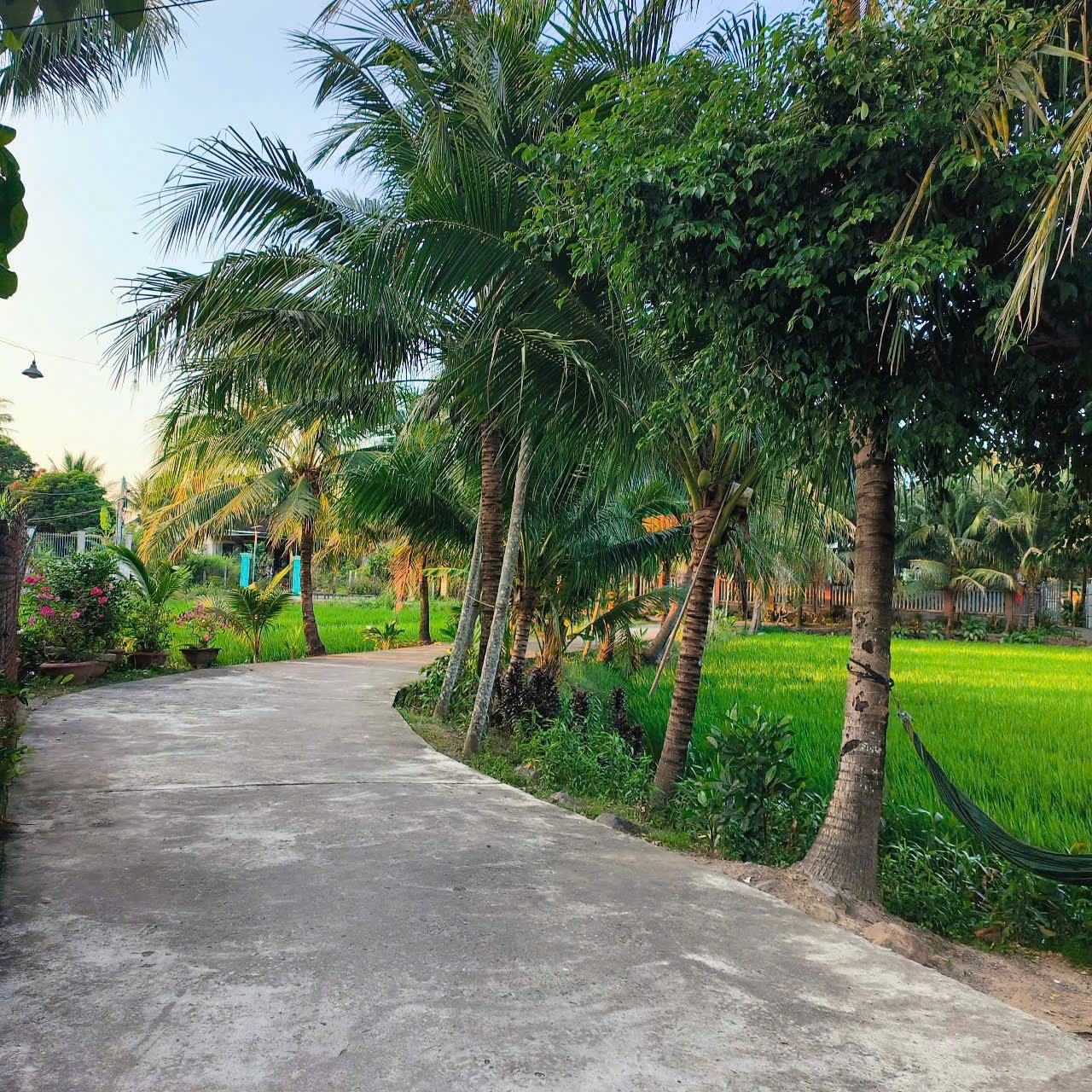 CL-BÁN LÔ ĐẤT DIÊN TOÀN (cũ), DIÊN KHÁNH. 3