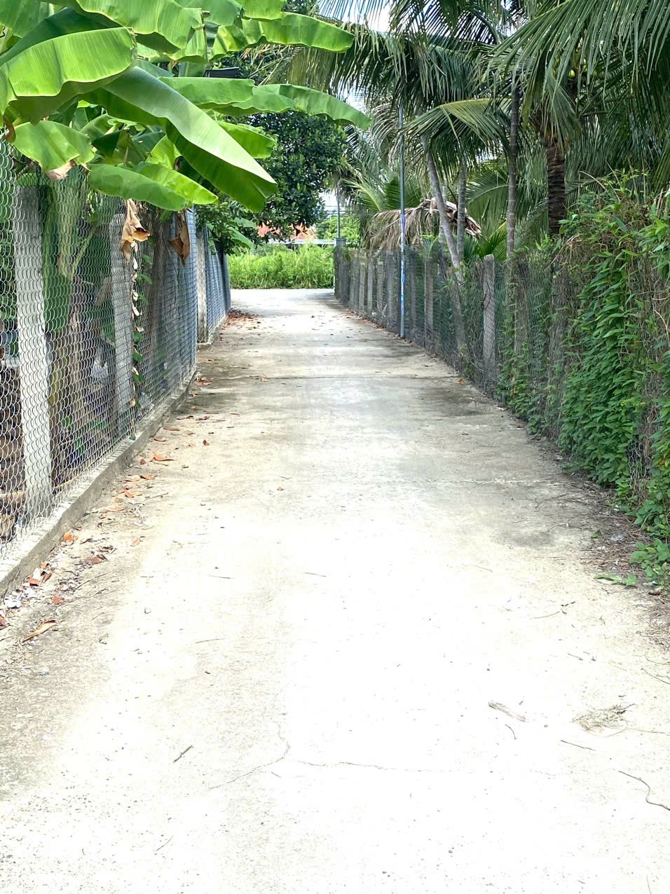 NHÀ 1 TRỆT 1 LẦU ĐẸP TẠI DIÊN KHÁNH KHÁNH HOÀ CẦN BÁN 5