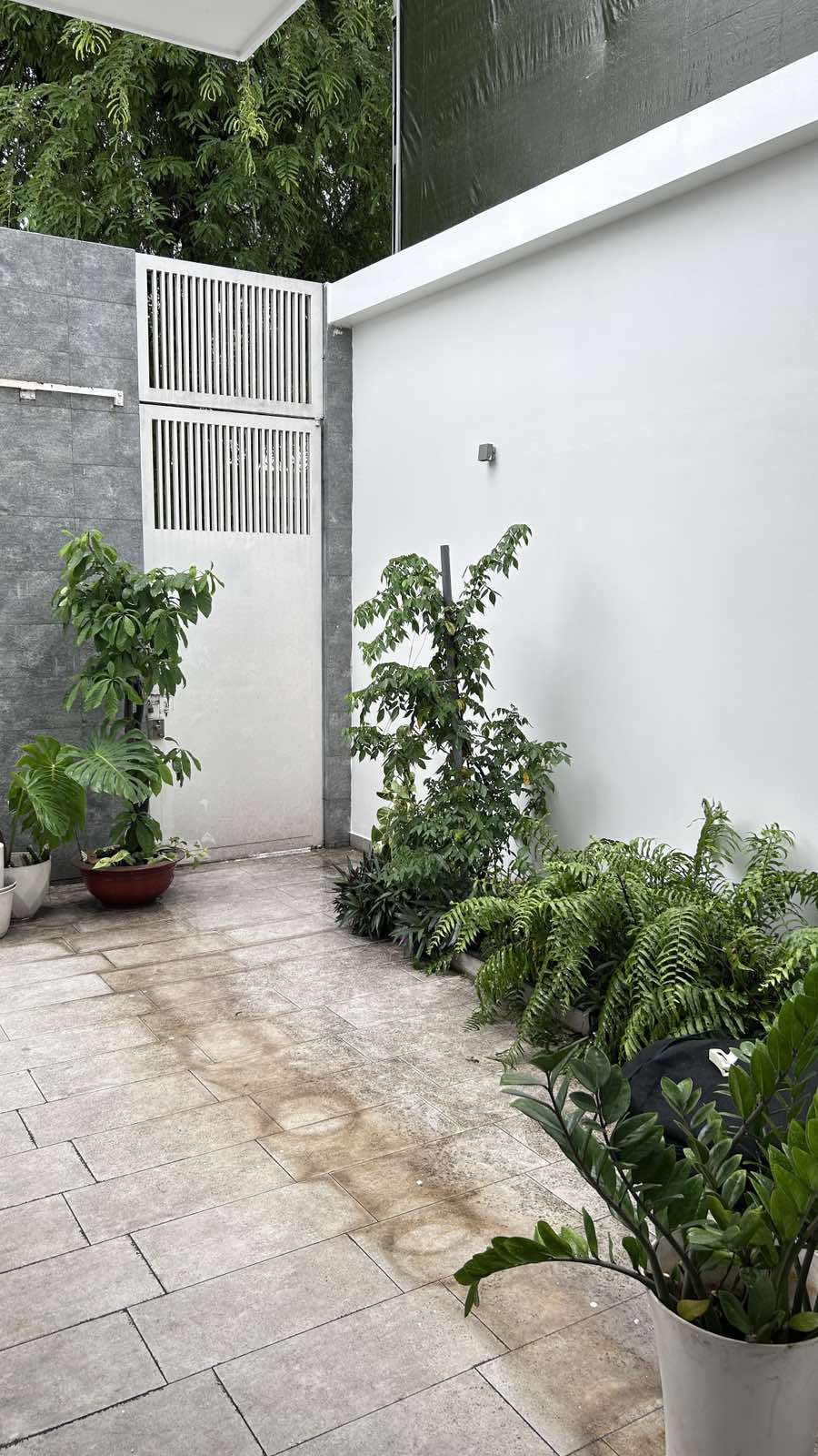 Cho thuê Biệt thự Phường An Phú, Quận 2, Diện tích 196m², Giá 40 Triệu/tháng