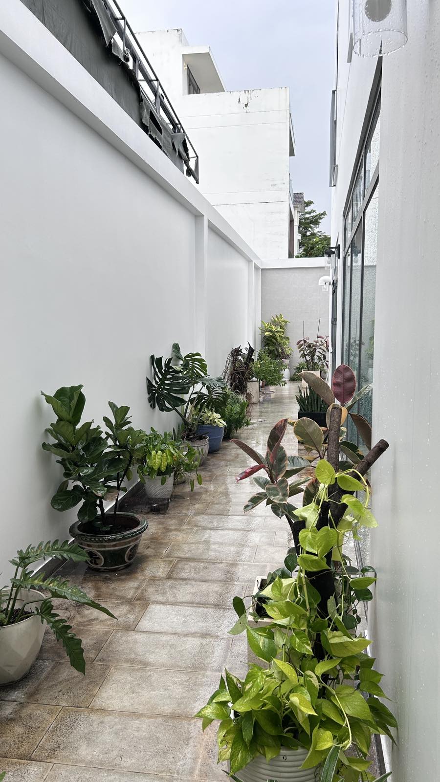 Cho thuê Biệt thự Phường An Phú, Quận 2, Diện tích 196m², Giá 40 Triệu/tháng 2