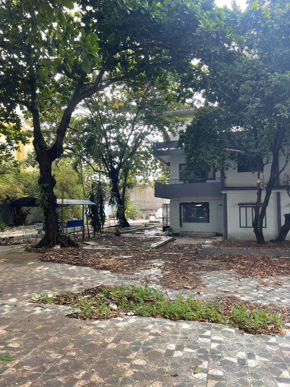 Cho thuê Mặt bằng Phường Bình Thọ, Thủ Đức, Diện tích 1570m², Giá 0120 Triệu/tháng 2