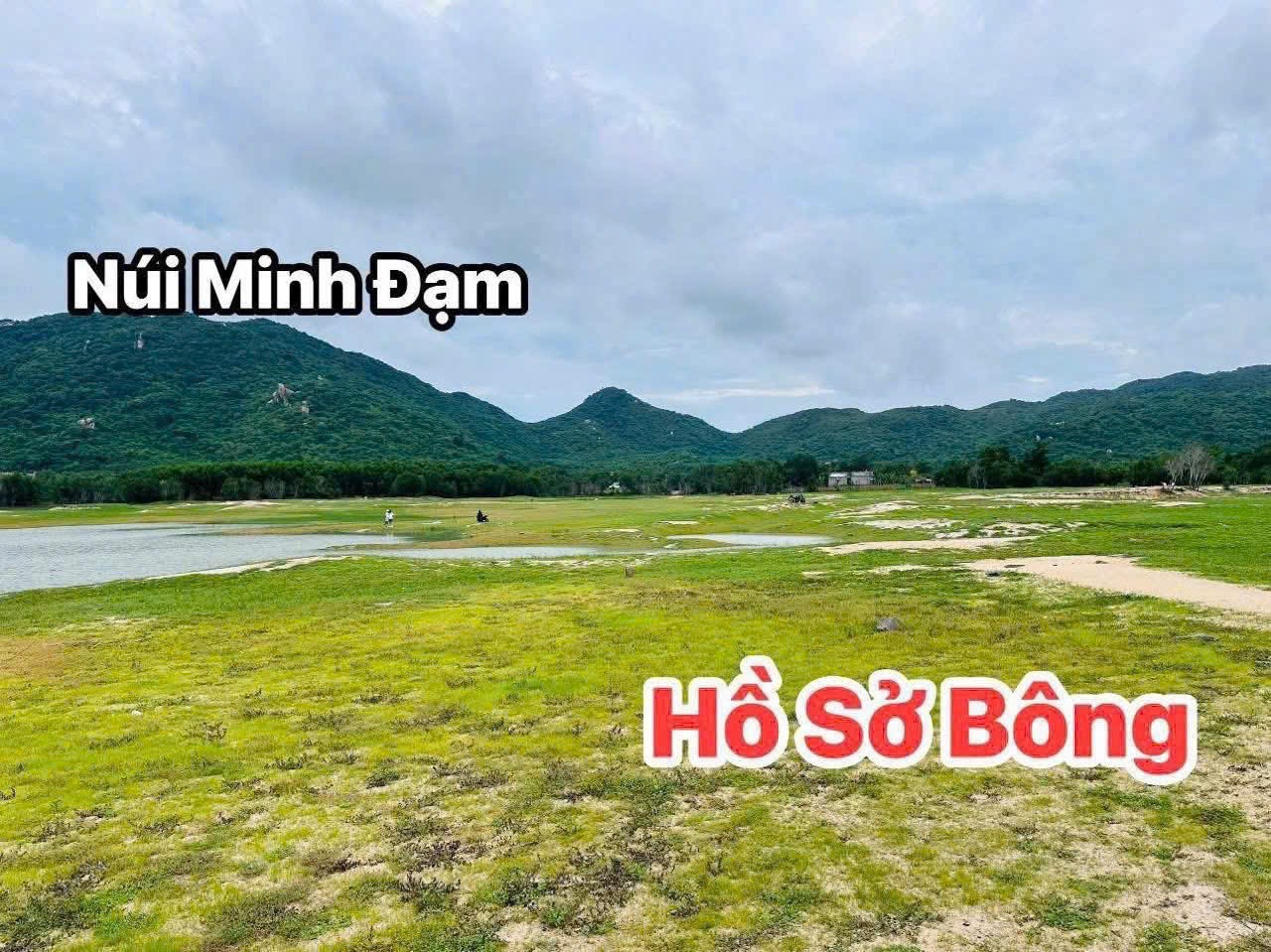 Cần bán Đất đường Tỉnh lộ 44B, Thị trấn Phước Hải, Diện tích 274m², Giá Thương lượng 2