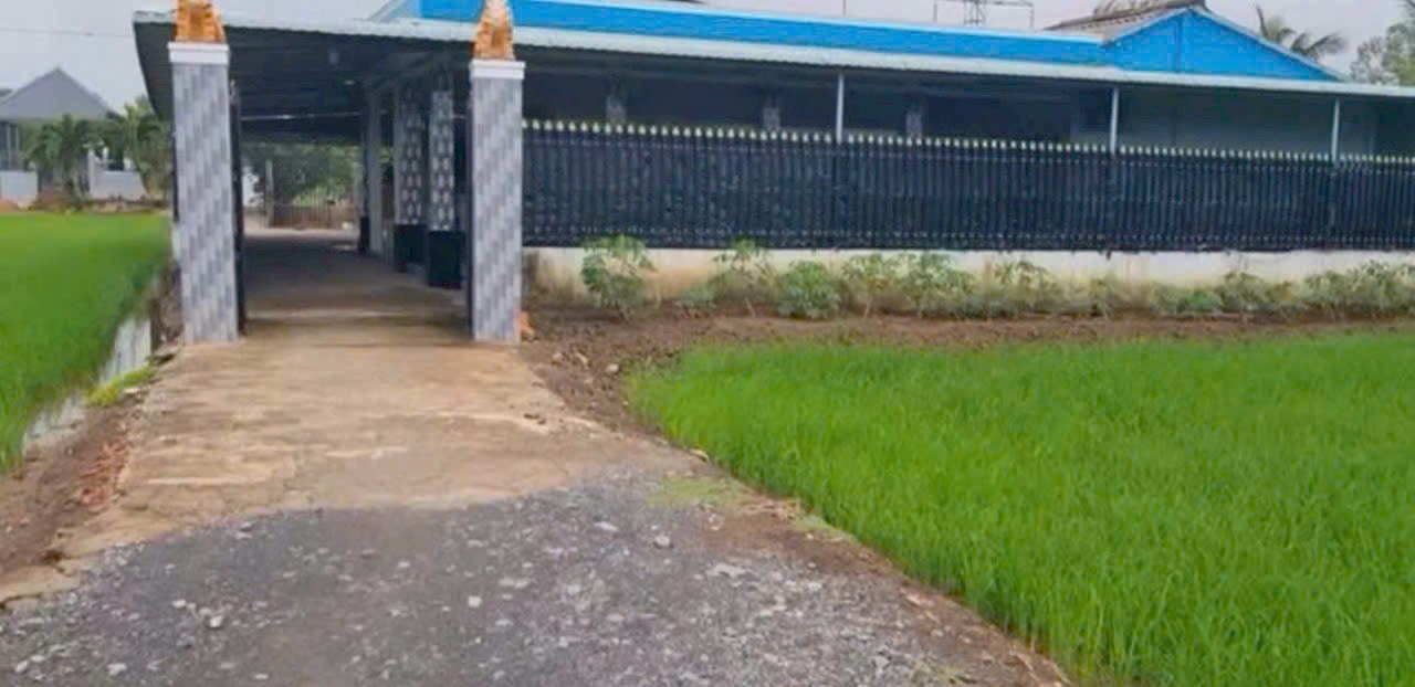 Đất thổ 1090m2 mt xe hơi xã Tân Lân giá rẻ bao đầu tư 2 tỏi 750tr 3