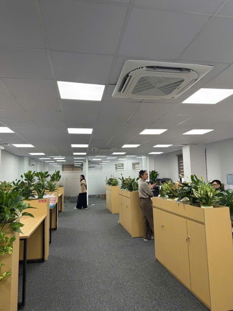 Hiếm bán tòa nhà mặt phố Bà Triệu, Hàng Bài, Hoàn Kiếm DT 75m2, 8 tầng thang máy, có hầm, KD siêu 3