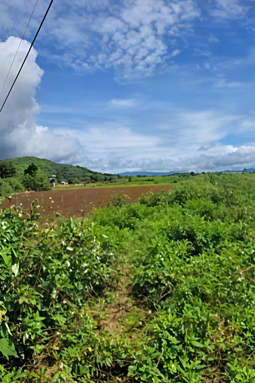 BÁN LÔ ĐẤT ĐẸP – VỊ TRÍ TRUNG TÂM ĐỨC TRỌNG – GIÁ ĐẦU TƯ