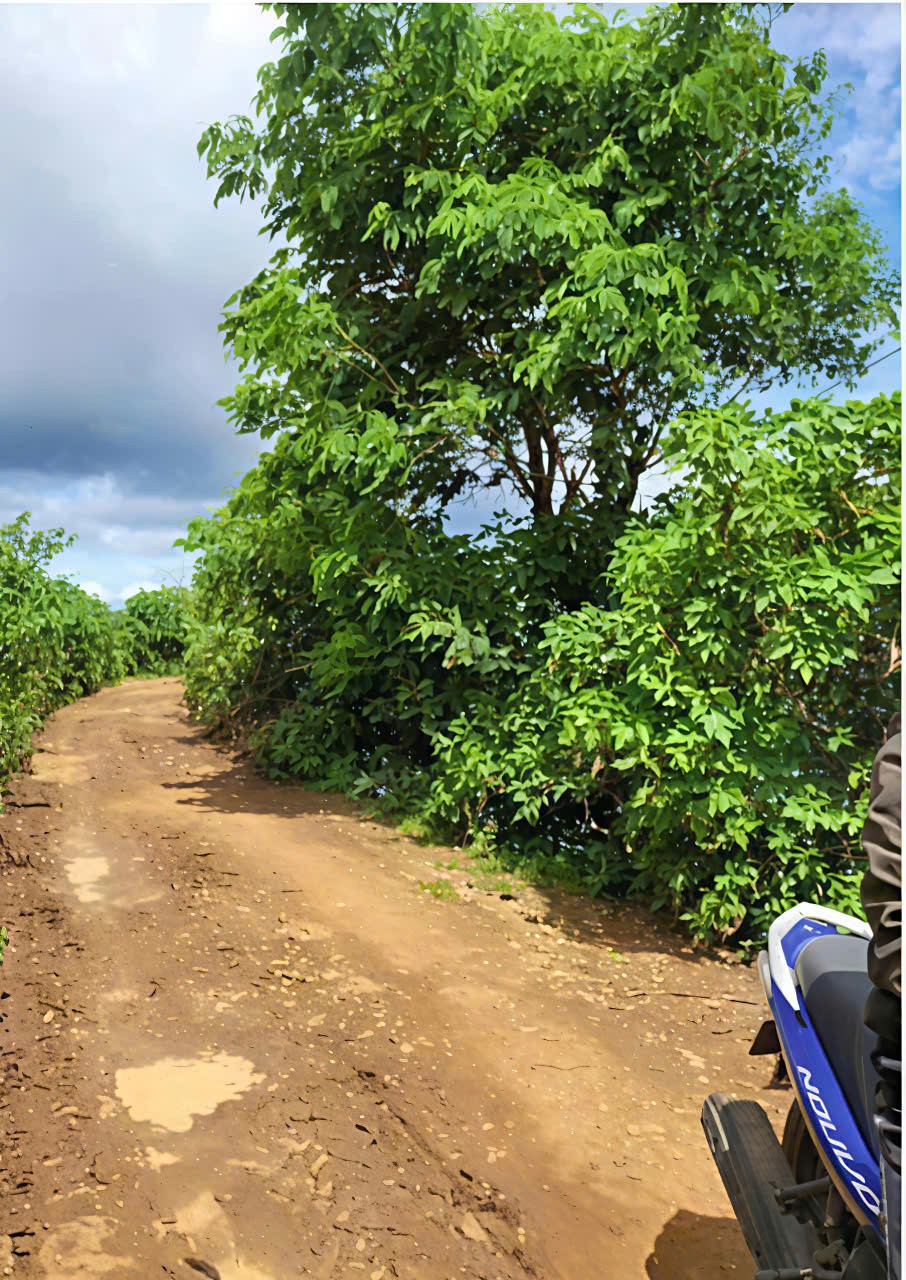 BÁN LÔ ĐẤT ĐẸP – VỊ TRÍ TRUNG TÂM ĐỨC TRỌNG – GIÁ ĐẦU TƯ 2