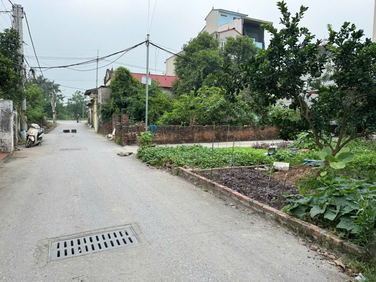 Bán đất thổ cư 86m², hướng Đông Nam, trung tâm Chi Đông, Mê Linh, Hà Nội