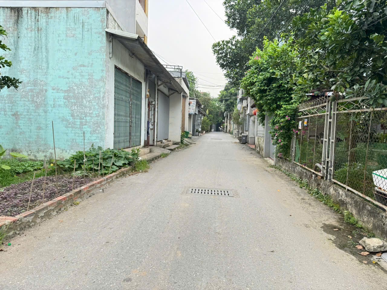 Bán đất thổ cư 86m², hướng Đông Nam, trung tâm Chi Đông, Mê Linh, Hà Nội 3