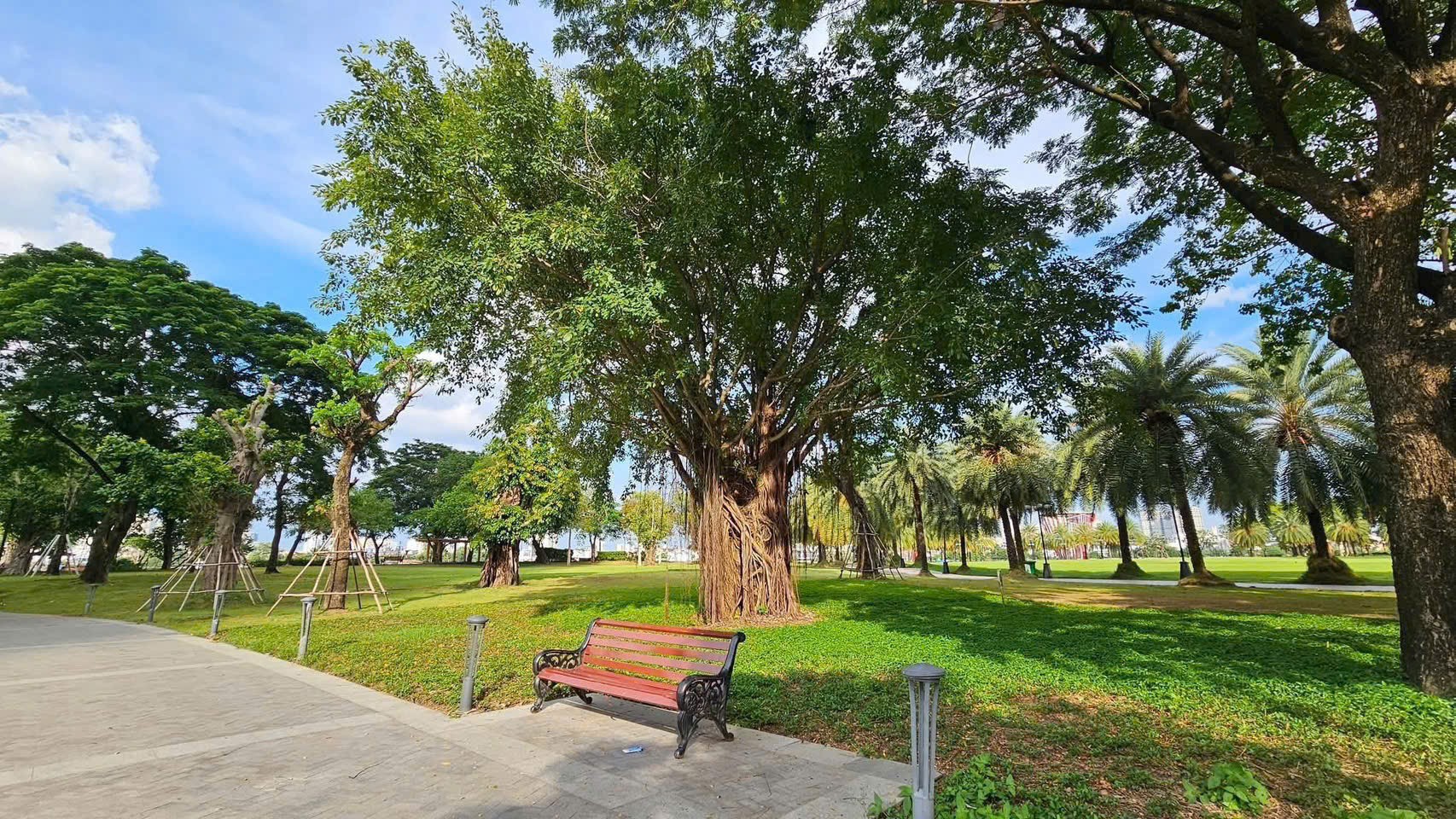 Cần bán Biệt thự Phường 22, Bình Thạnh, Diện tích 300m², Giá 280 Tỷ 4