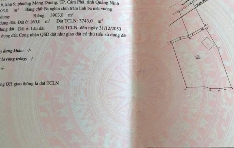 Cần bán Đất Phường Mông Dương, Cẩm Phả, Diện tích 3903m², Giá 26 Triệu/m² 2
