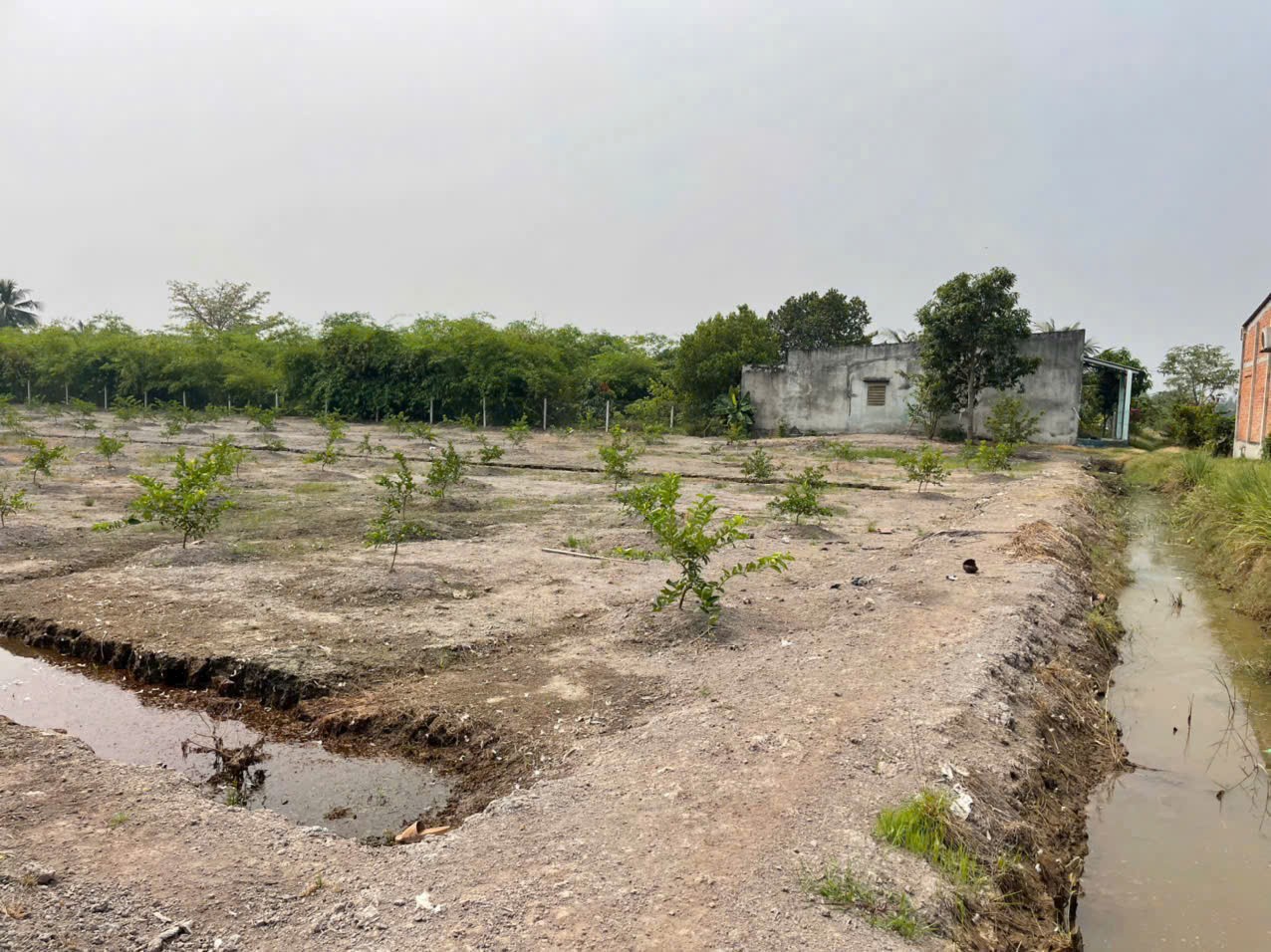 207m2 thổ cư hẻm ấp 10 , xã Lương Hòa, Bến Lức , Long An giá 850 triệu 6